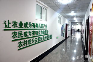 中國(guó)電子科技集團(tuán)消費(fèi)扶貧新舉措 采購(gòu)清水農(nóng)產(chǎn)品助力鄉(xiāng)村振興，科技研發(fā)賦能農(nóng)業(yè)現(xiàn)代化