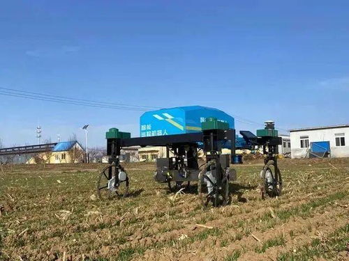 農業產業周報 科技賦能，龍頭領航——聚焦中糧、極飛、克明、牧原與行業研發新動態